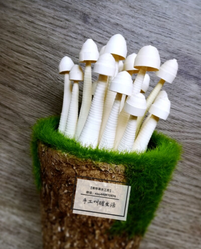 衍纸立体盆栽蘑菇图片