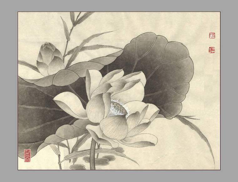 工笔画荷花