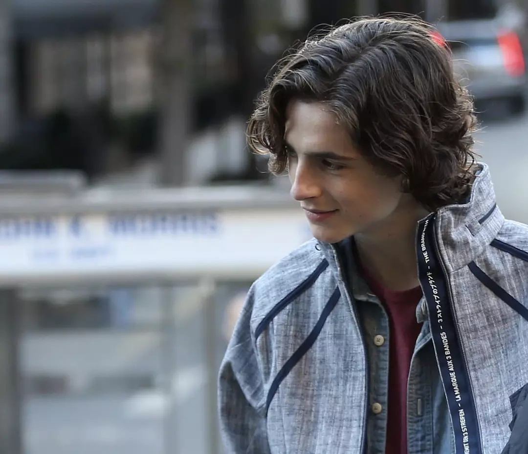 timothée chalamet甜茶.