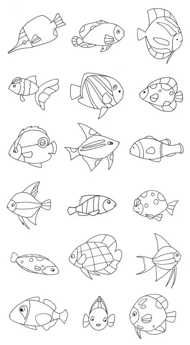 各种鱼的简笔画和名称图片