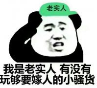 表情包老实本分