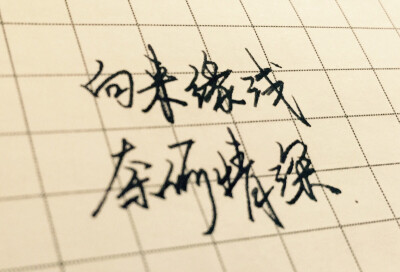 向来缘浅奈何情深