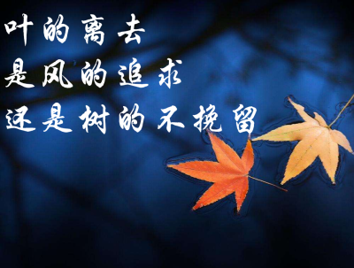 叶的离去是风的追求还是树的不挽留——三毛