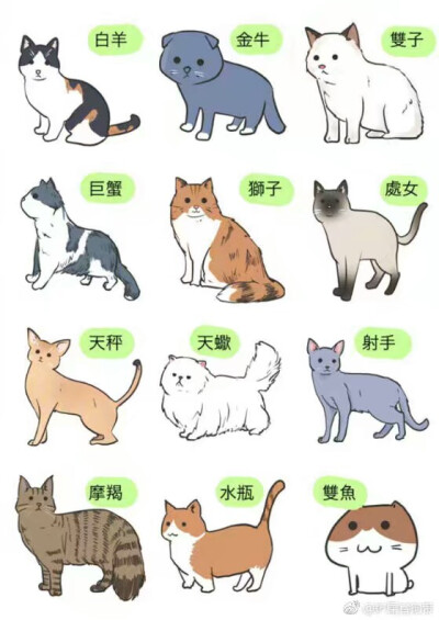 十二星座的可爱小猫图片