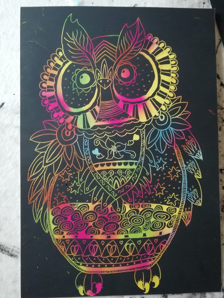 猫头鹰刮画线描