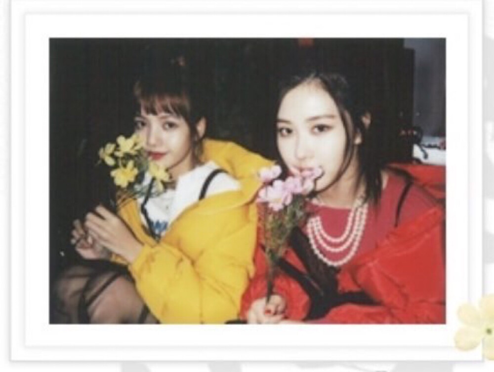 lisa jisoo