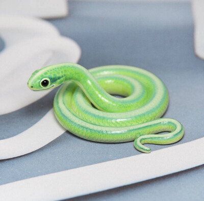 黏土动物 - 堆糖,美图壁纸兴趣社区