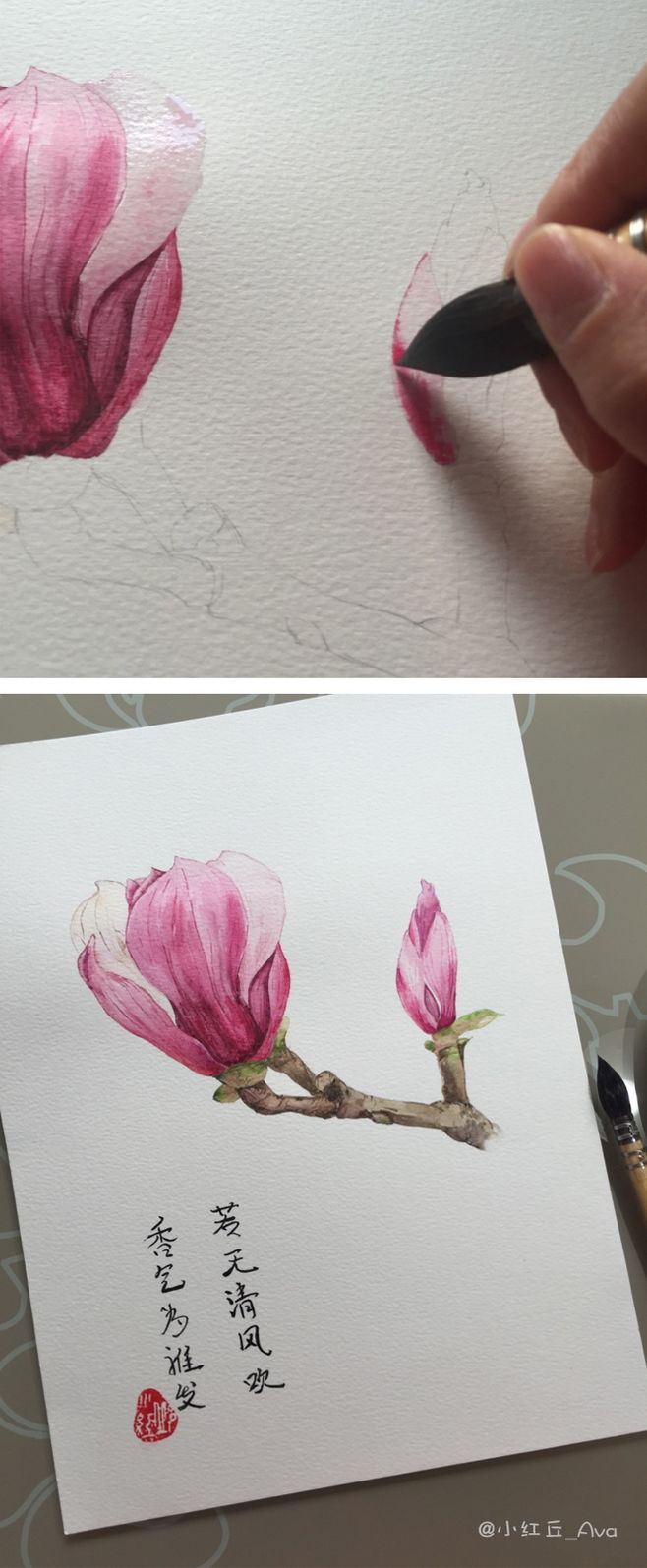 水彩玉兰花手绘