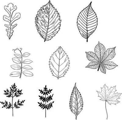 橡皮章素材植物简单图片