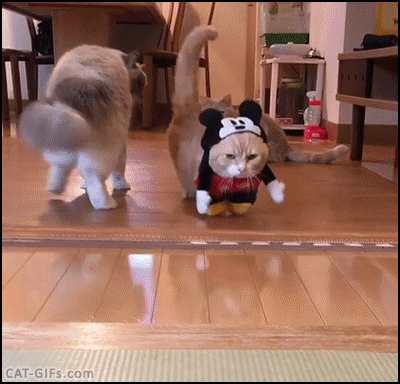 生气地走来
