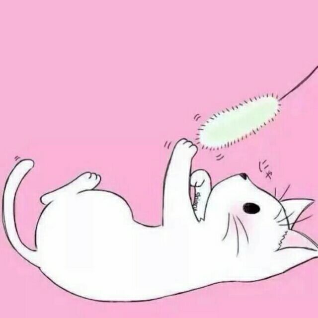 可爱猫咪动漫女生头像