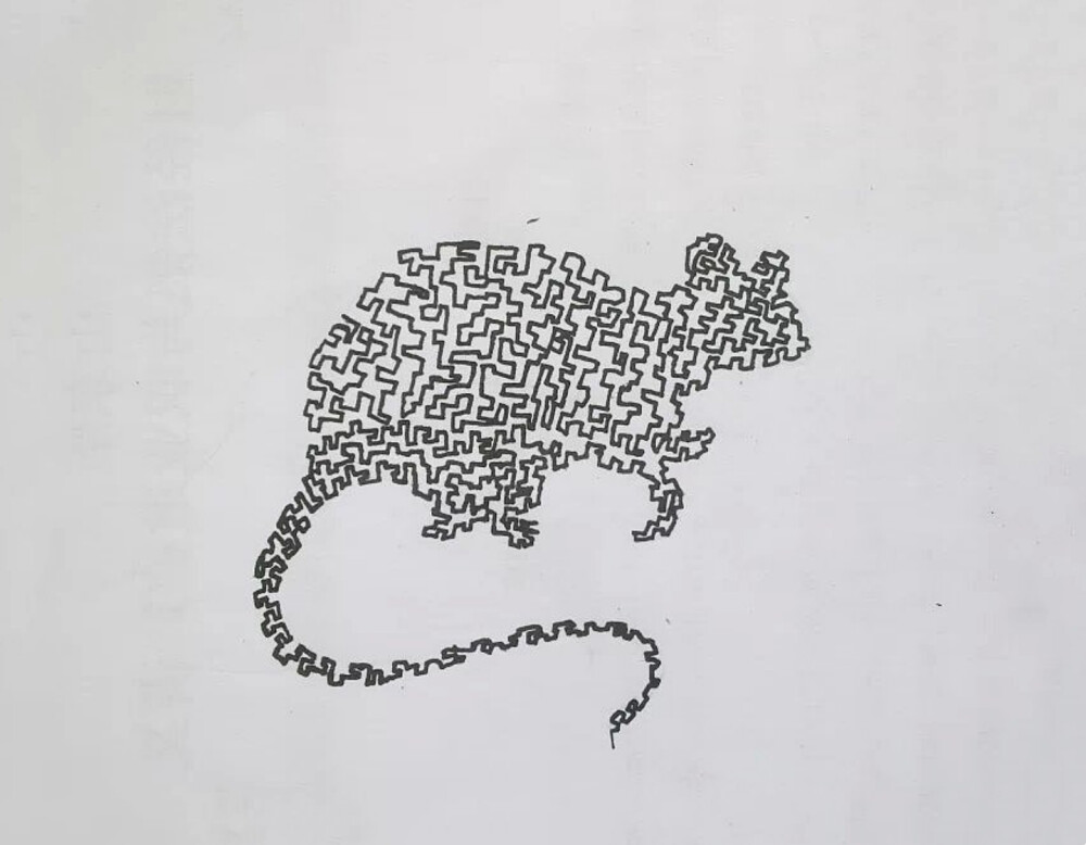 十二生肖一笔画——鼠