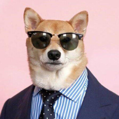 表情包头像柴犬