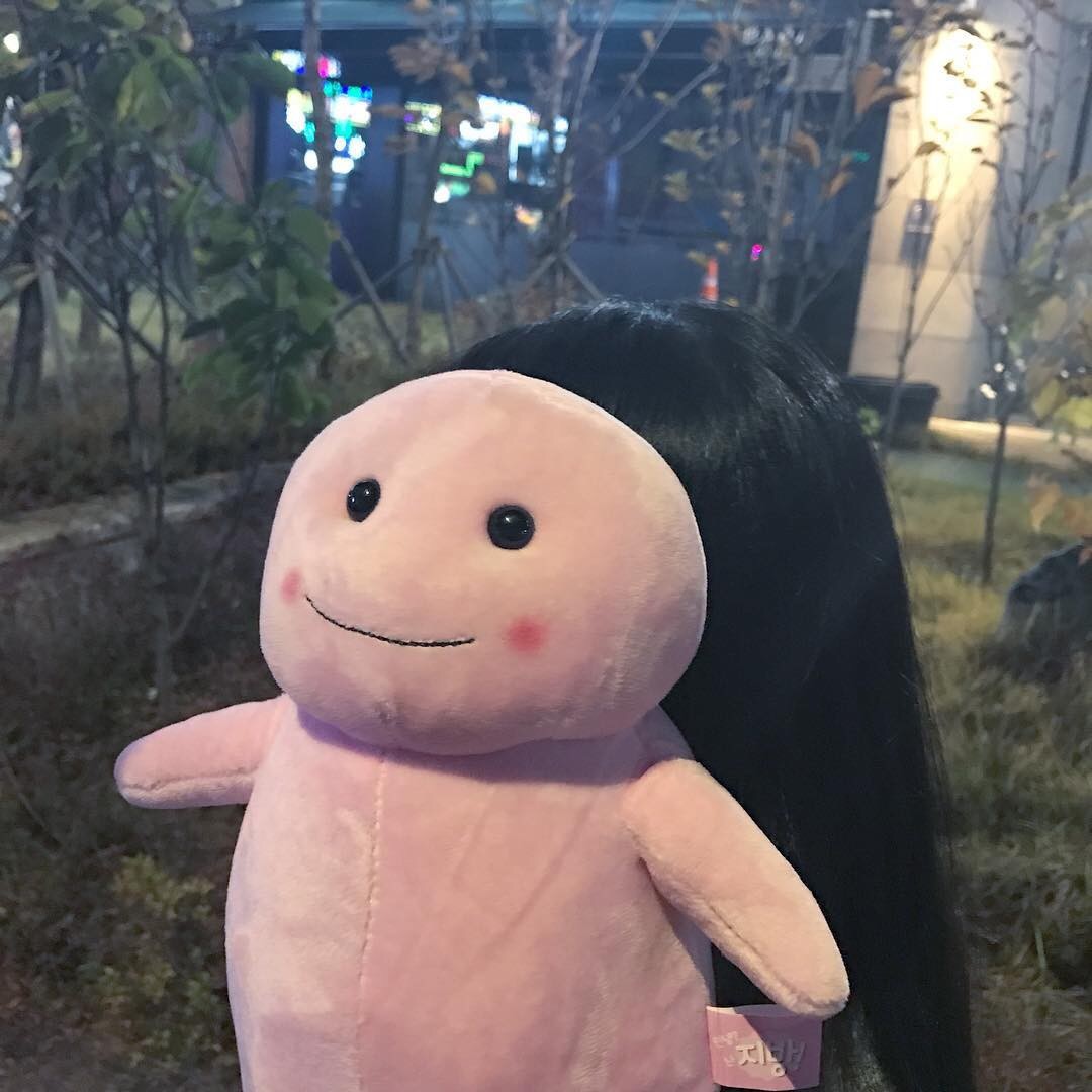 喵愣nyan(д)女生头像(既然收藏了就粉一个呗)