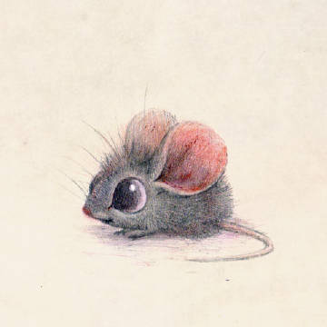 小老鼠彩铅画图片