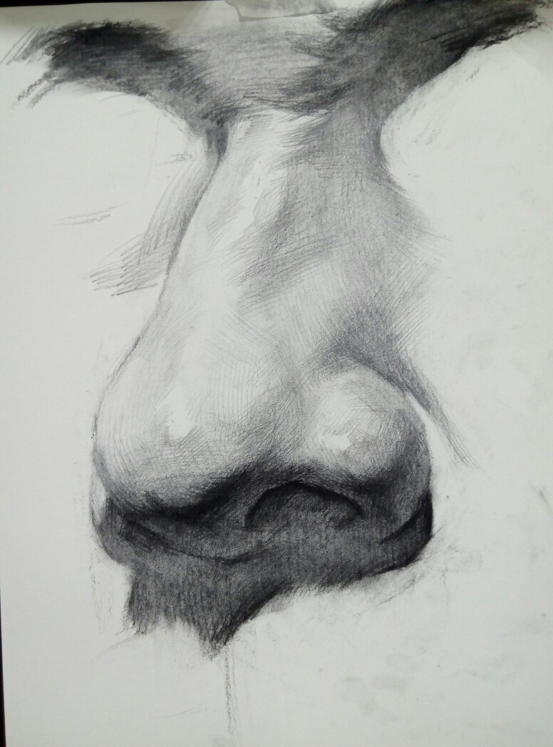 素描人像鼻子 供参考临摹理解