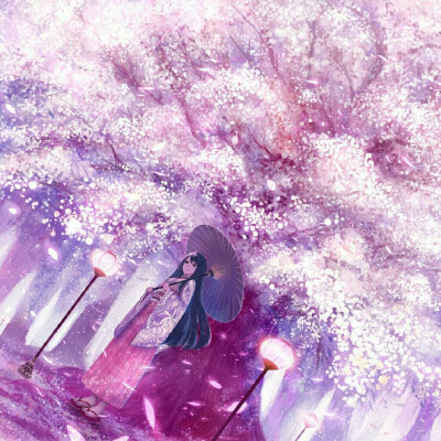 动漫插画,樱花落
