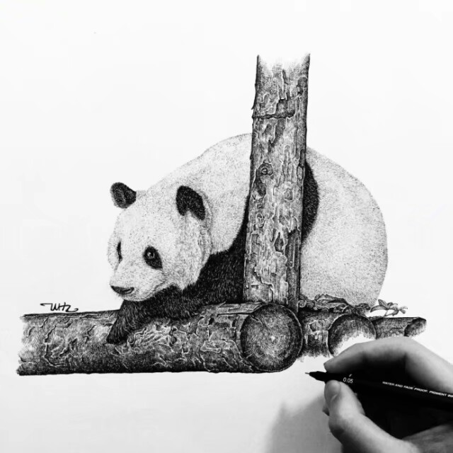 针管笔大熊猫