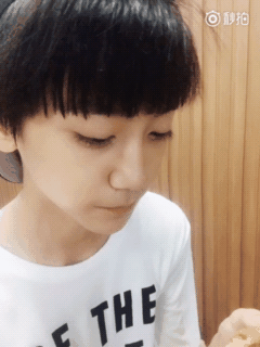 tf家族