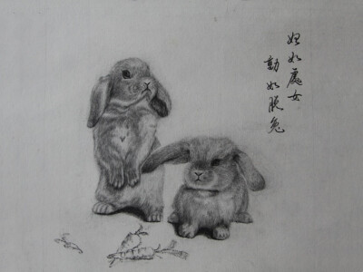 8道可道8*十二生肖素描—动如脱兔