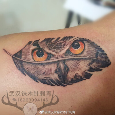 武汉铁木针刺青大臂猫头鹰纹身