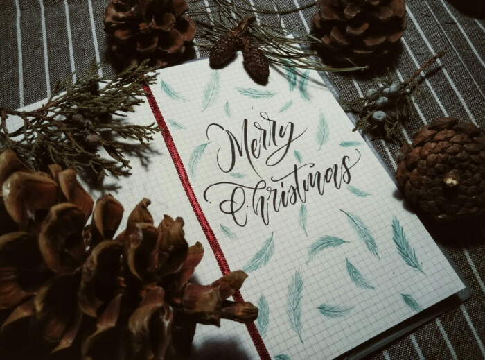 brushlettering 手写英文 #艺术 #设计 #手写 #英文 #圣诞节