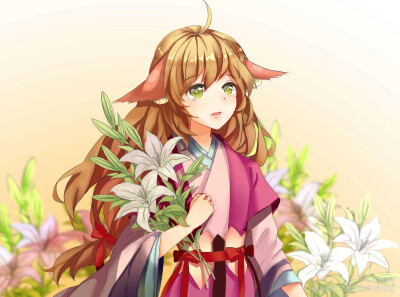 涂山苏苏