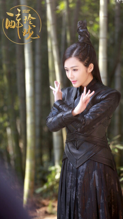 醉玲珑武娉婷
