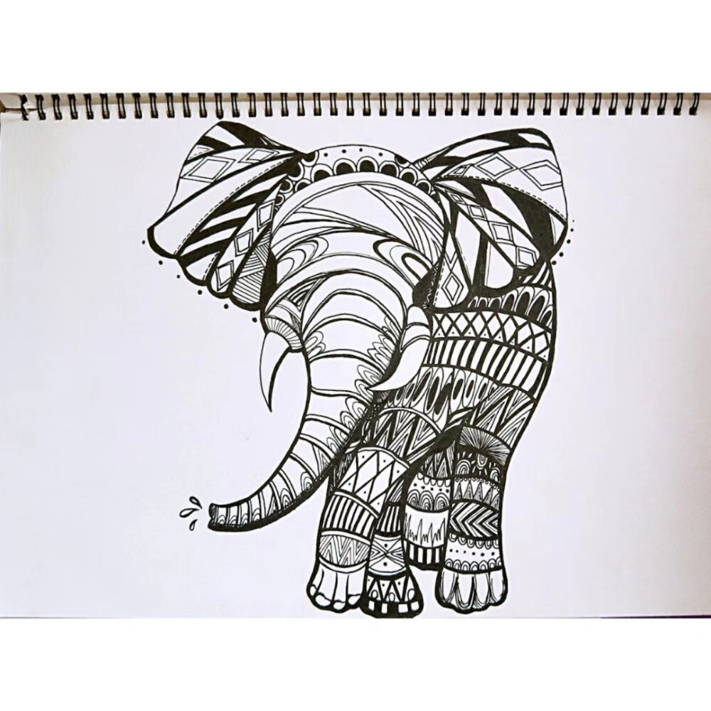 动物黑白线描画