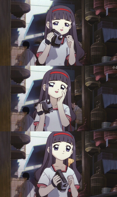 知世