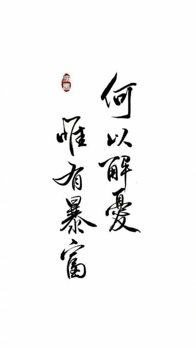 壁纸 何以解忧,唯有暴富
