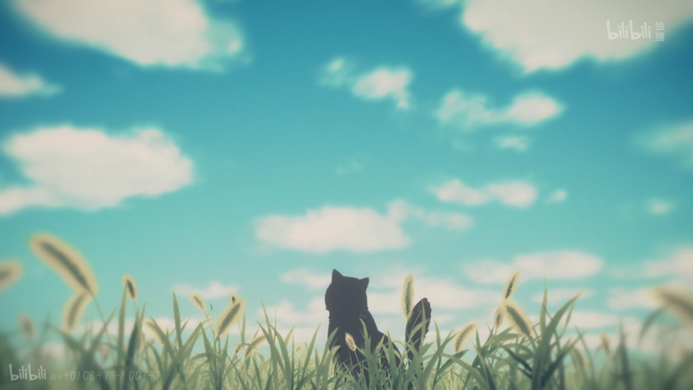 她与她的猫,壁纸桌面,小清新画风,新海诚
