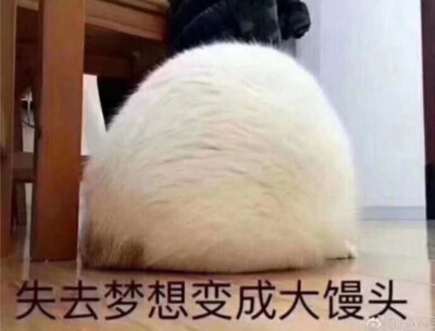 失去梦想变成大芬达