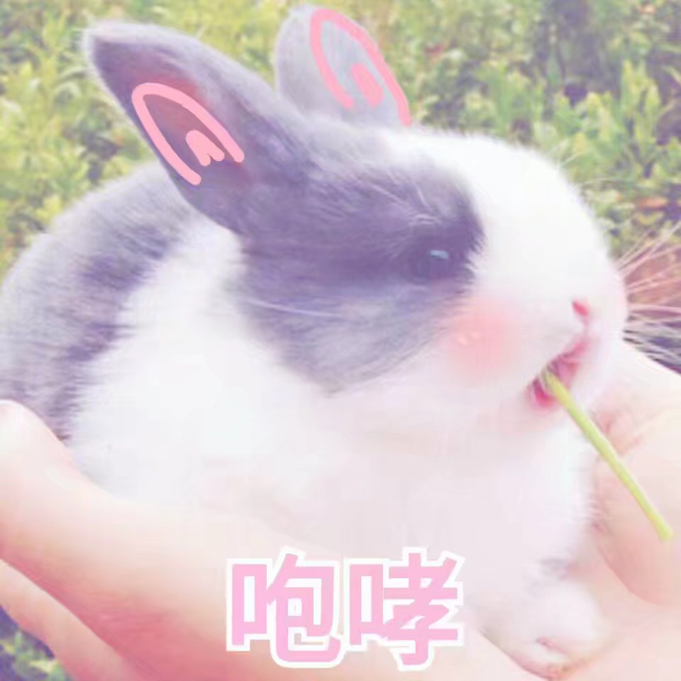 超萌表情包