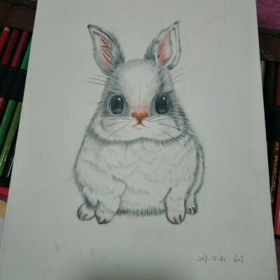 兔兔彩铅画
