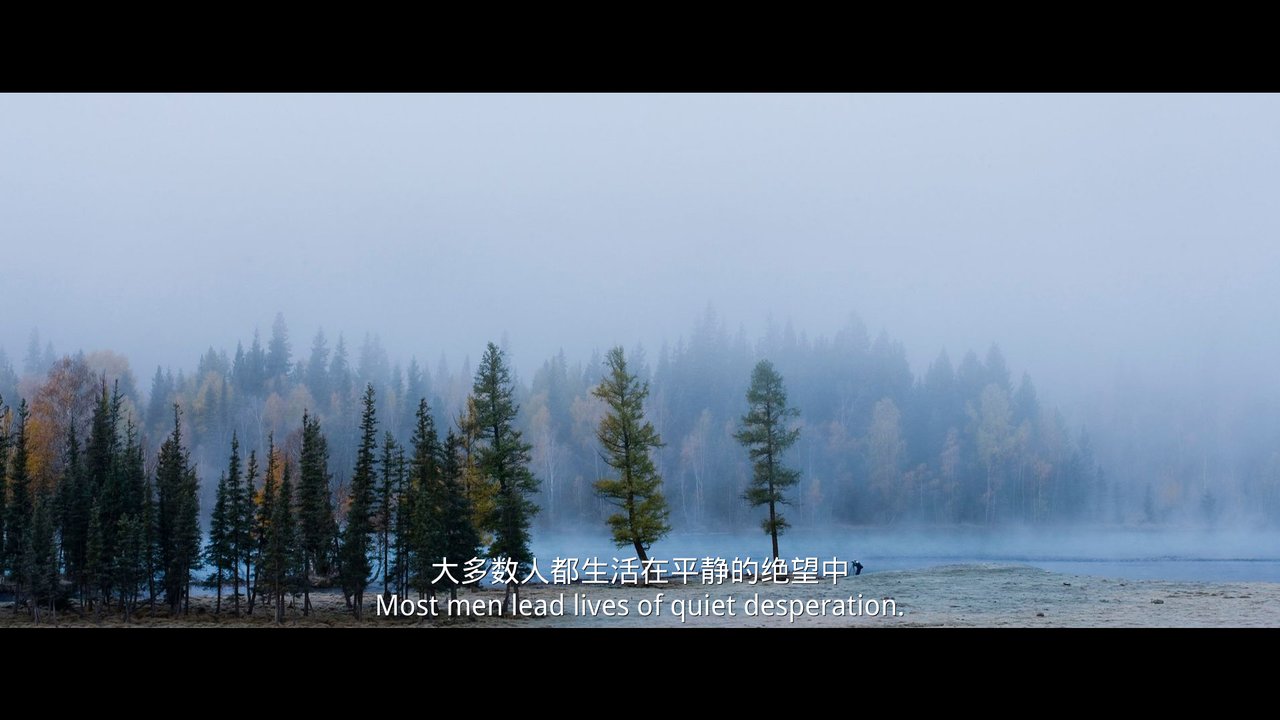 自制电影字幕/by.两度长安陌