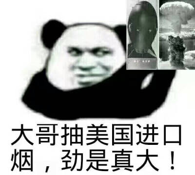 熊猫人大哥抽烟表情包图片