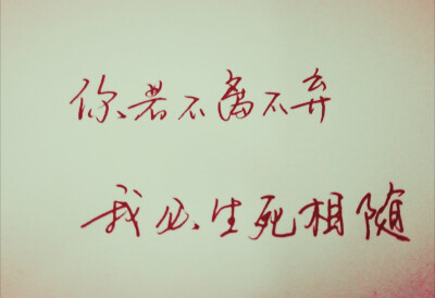 你若不离不弃我必生死相依