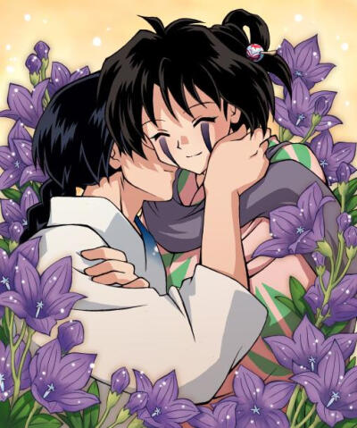 t^t喜欢的抱走,犬夜叉 杀生丸 犬大将 奈落 戈薇 七宝 云母 弥勒 珊瑚