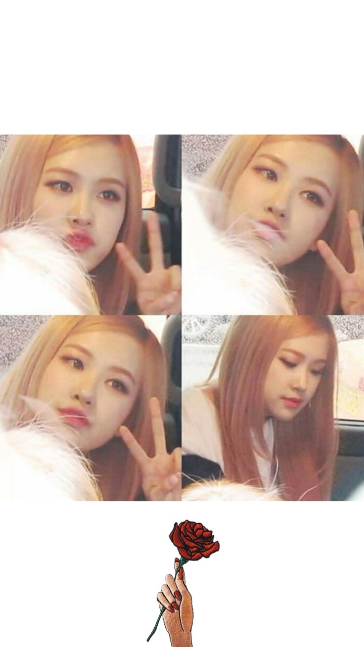 blackpink rose