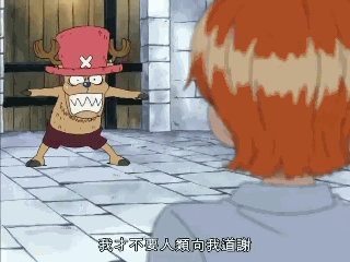 娜美乔巴