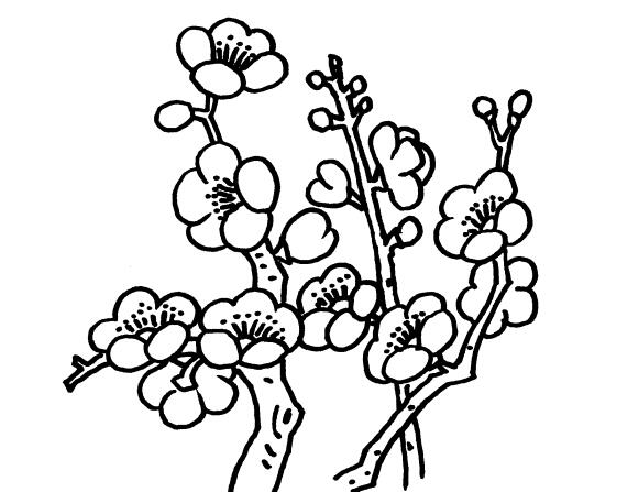 梅花简笔画