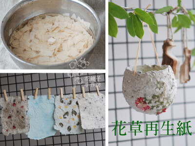花草再生纸 废物利用