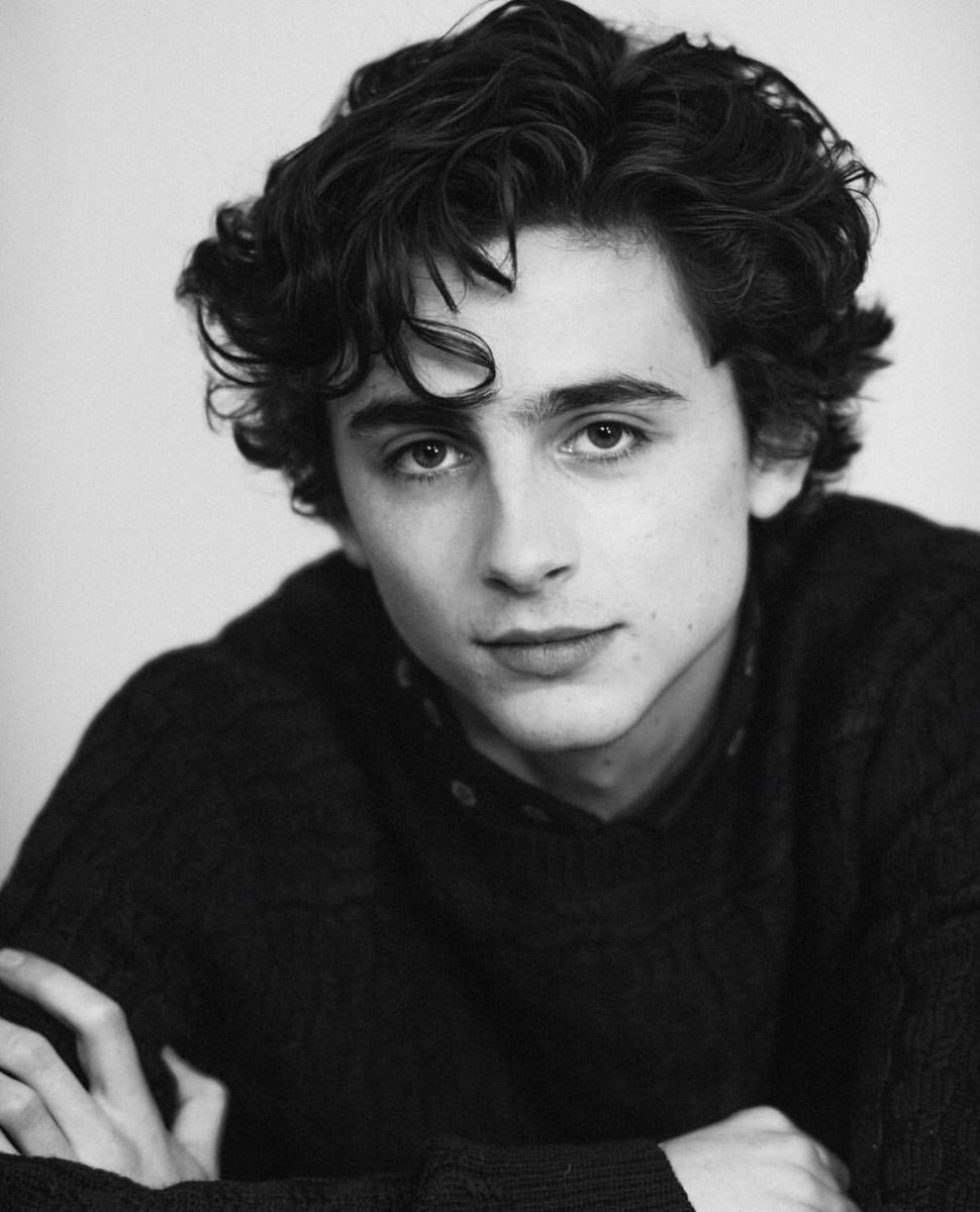 蒂莫西·柴勒梅德timothée chalamet,甜茶,头像,壁纸