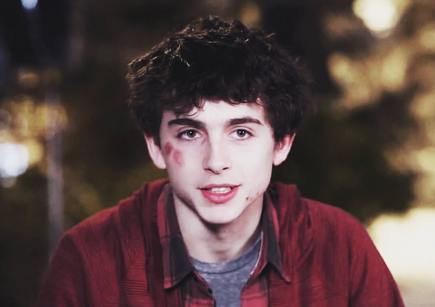 蒂莫西·柴勒梅德timothée chalamet,甜茶,头像,壁纸