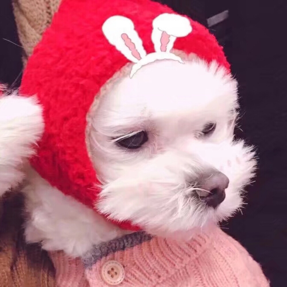 人总是要经历一些什么才能成长