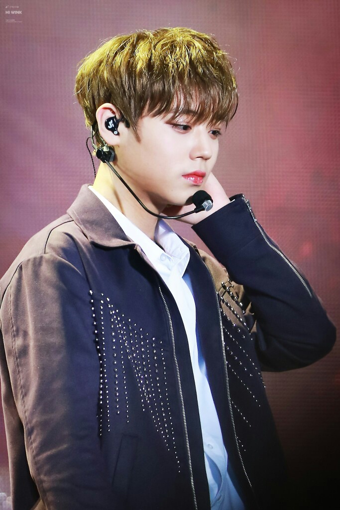 朴志训 wanna·one cr.logo