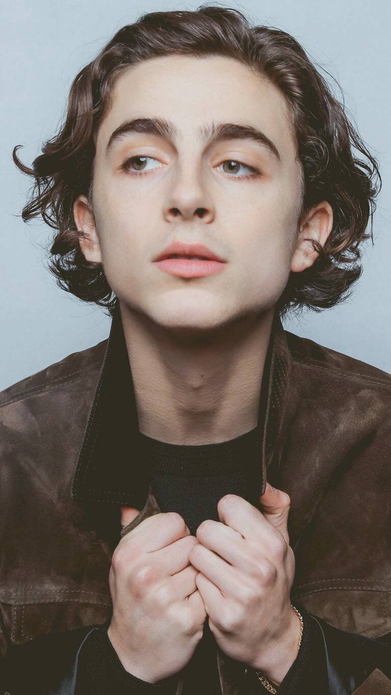 蒂莫西·柴勒梅德timothée chalamet,甜茶,头像,壁纸