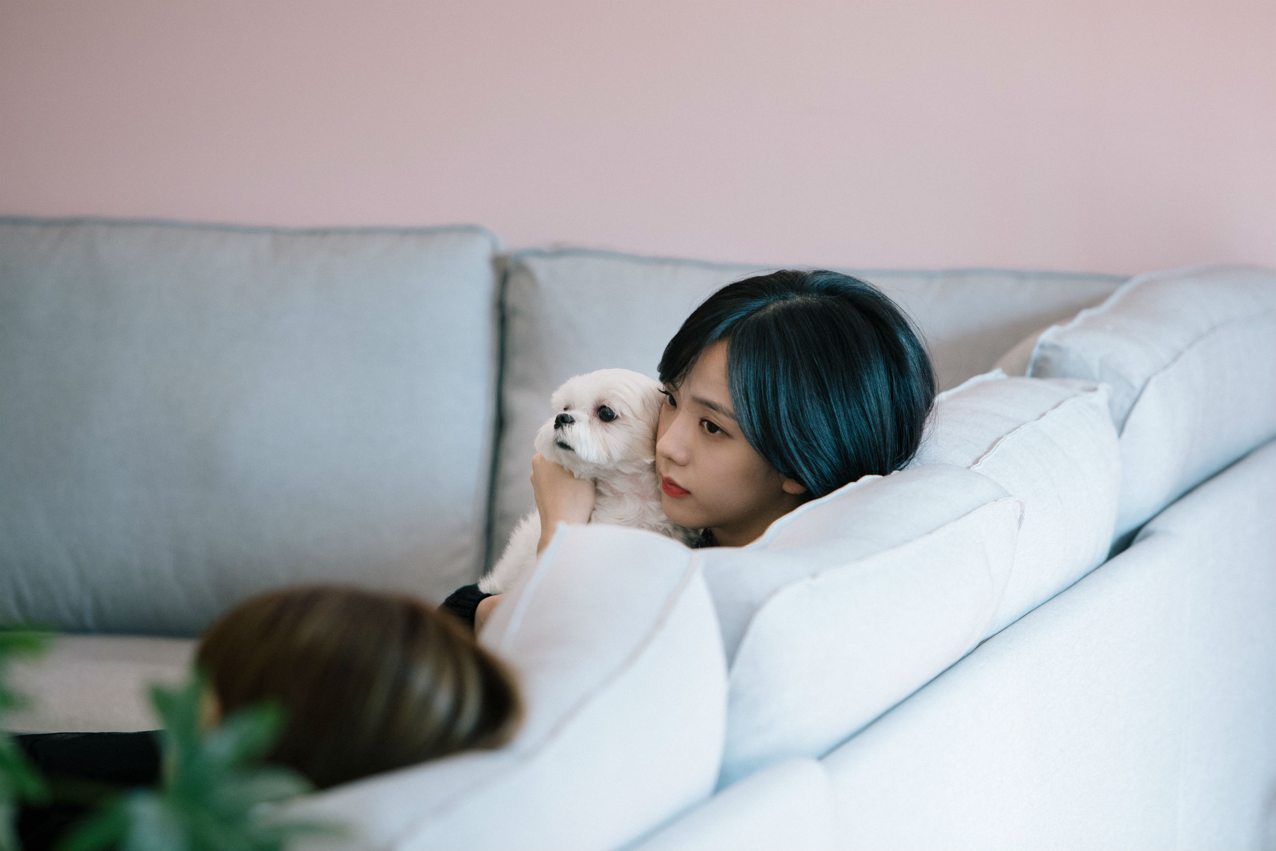 blackpink吧 - 堆糖,美图壁纸兴趣社区