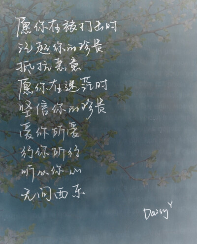 无问西东 daisy